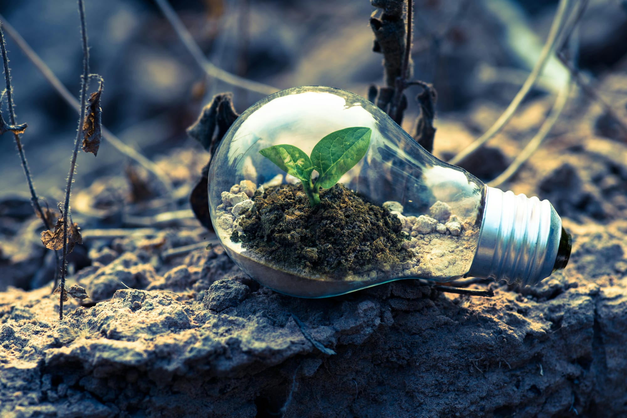 Advancements in Green Technology and Energy