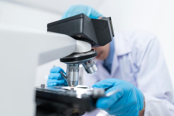 S&P 500 Performance: West Pharmaceutical Surges, Dow and LKQ Decline