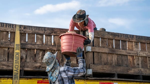 US labor market remains stable with low layoffs